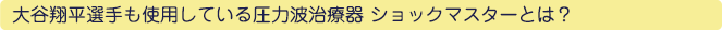 JĕIgpĂ鈳͔gÊ VbN}X^[Ƃ́H